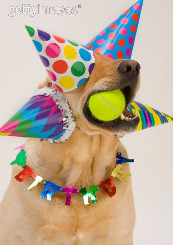 Happy Birthday Rachel 