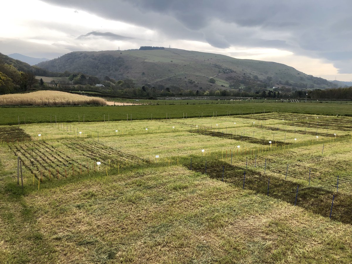 Dave Chadwick tweet media