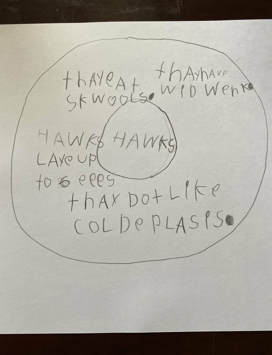 MrsGrantKinder's tweet photo. This week my kinders have to read a given informational text and create a circle map recording the main topic and key details from the text. I am so proud of this kiddos hard work! #wsfcslearnon #MooreatHome @smgaillard https://t.co/HG70DF4vvH