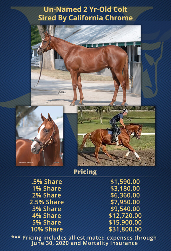 Victory Racing Partners tweet media