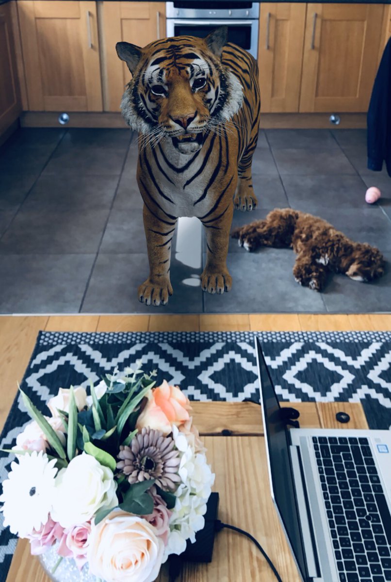 MissEricaSousa's tweet photo. You know who made me steal this tiger?

Carole fucking Baskin.

That bitch.

#TigerKing https://t.co/NEg6a6BcNZ