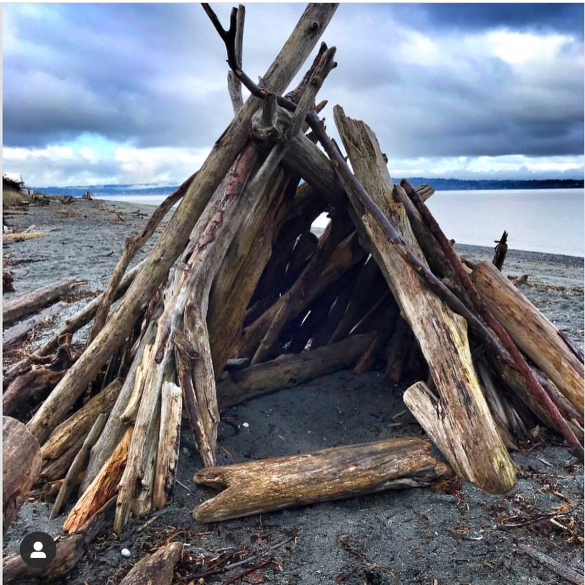FoDiscoveryPark's tweet photo. Driftwood shelter constructed on the Discovery Park Beach. Photo by Kimmie Moore
..
..
..
#discoverypark #seattle #driftwood #beach #ocean #sea #pugetsound #pnw #upperleftusa #nature #fortlawton #friendsofdiscoverypark https://t.co/N6seKeJLLp
