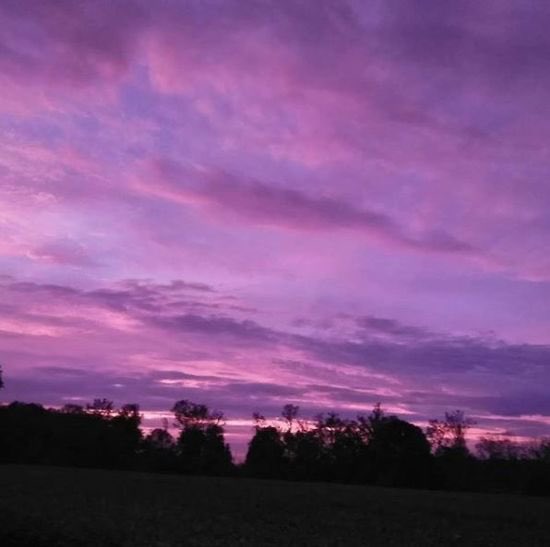 “Why can't I fly away in a special sky”.The second song to reference the sky in an apocalyptic context. The first being 1999.“The sky was all purple & people were running everywhere” (1999).