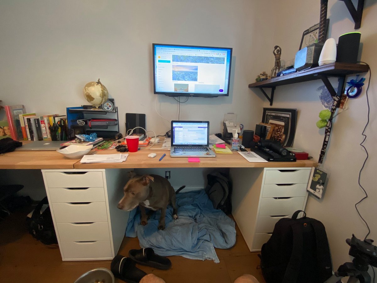 Our fur friends keeping us company during these 'ruff' days working from home. Anyone else have new coworkers? 😄