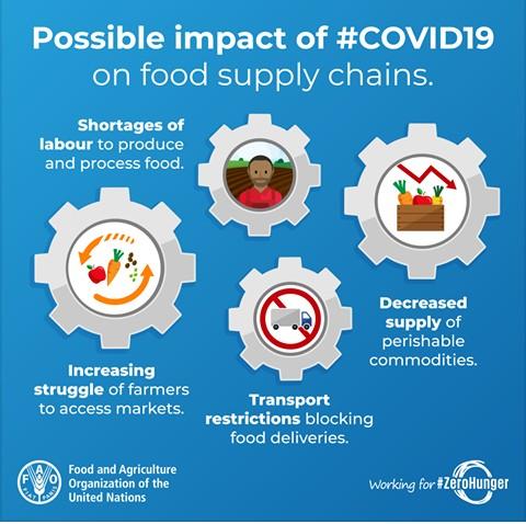 bethel_365's tweet photo. Countries need to support smallholder Farmers and meet the immediate food need of already vulnerable populations!

#COVIDー19 #foodsecurity #FAO @AgroMenia https://t.co/yrO3LtqM6w