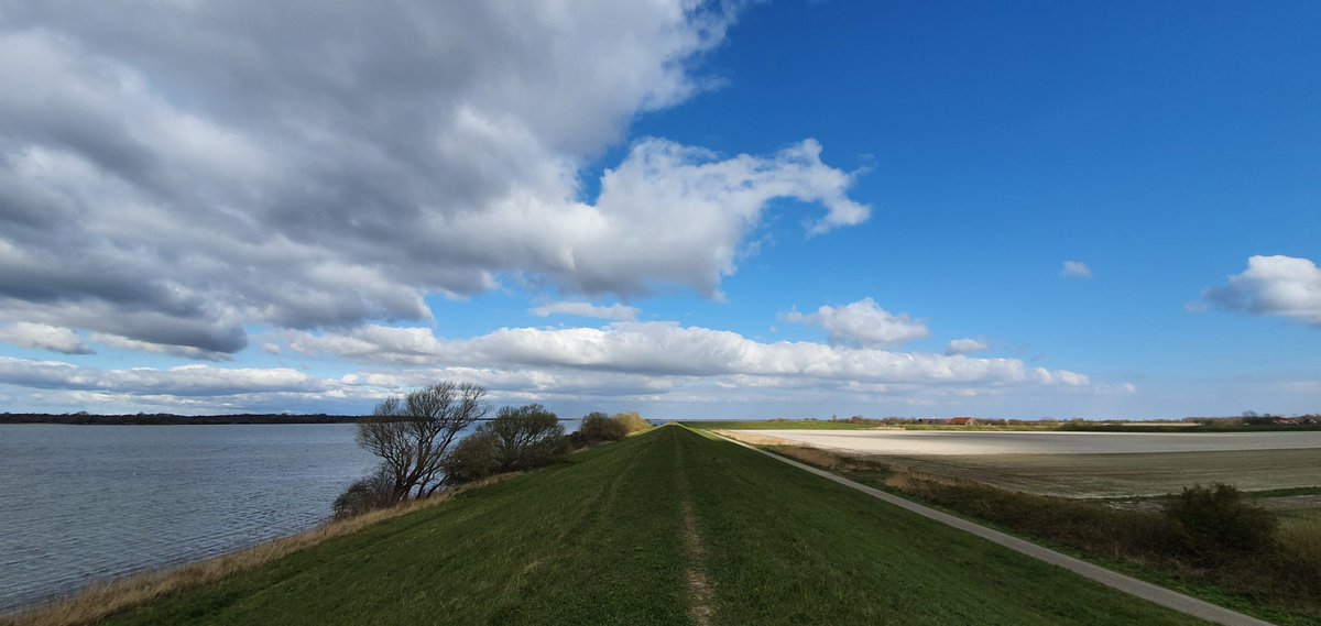 Havenlust's tweet photo. 🕊♥️ https://t.co/u9hHQn3SzE