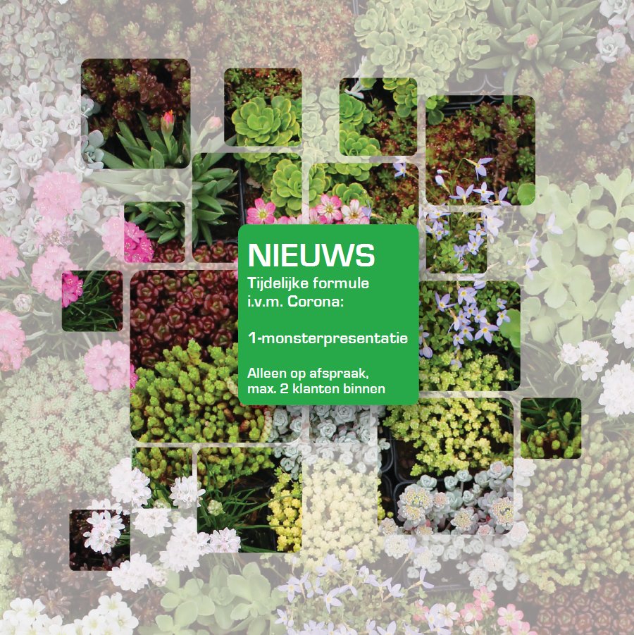 GROEN-Direkt tweet media