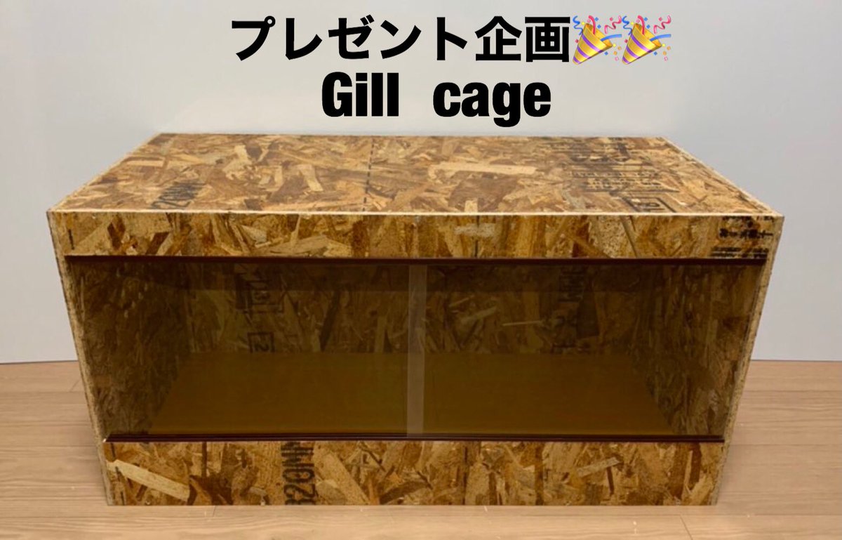 ViGillcage's tweet image. 第7回プレゼント企画開催！🎉🎉
ツイッター2名、インスタ1名で計3つプレゼントさせて頂きます。

Gill cage:1台
幅800×奥行400×高400mm

Vina cage:1台
幅800×奥行400×高400mm

おまけ cage:1台
仕様はプレゼント企画最終日に...
＊小さいので、レオパ等に...