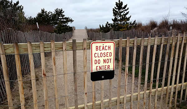 Cape May Writer tweet media