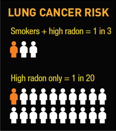 RadonDefenseVA's tweet photo. Radon can be really dangerous
Don't live in danger, get your inspection today!
Radon Defense, Radon experts in Northern Virginia
#radon #radoninspection #radongas #radonmitigation #radonlevels #virginia #northernvirginia https://t.co/9tct6zcgUJ