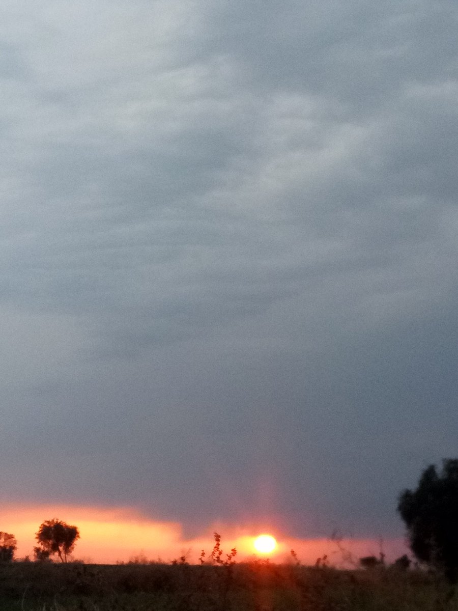 Haroon Al Rasheed tweet media