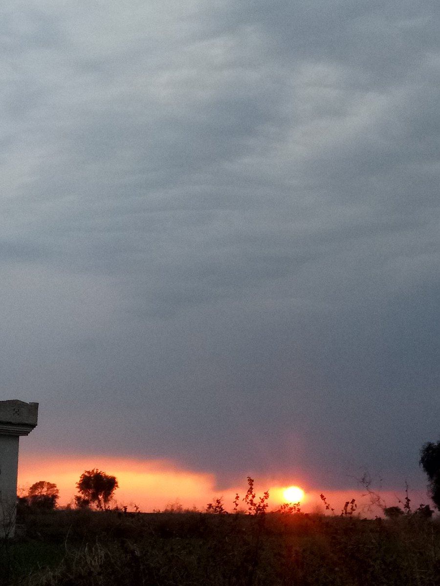 Haroon Al Rasheed tweet media