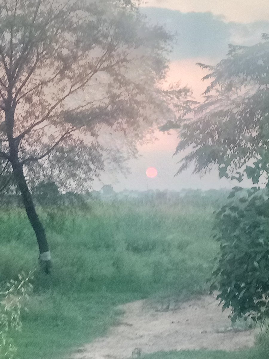 Haroon Al Rasheed tweet media