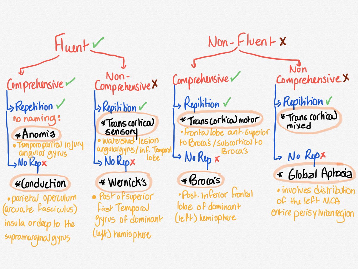 Aphasia examination and types. #speech #language #apasia #pmr #notes #neurology #stroke #languagedisorder