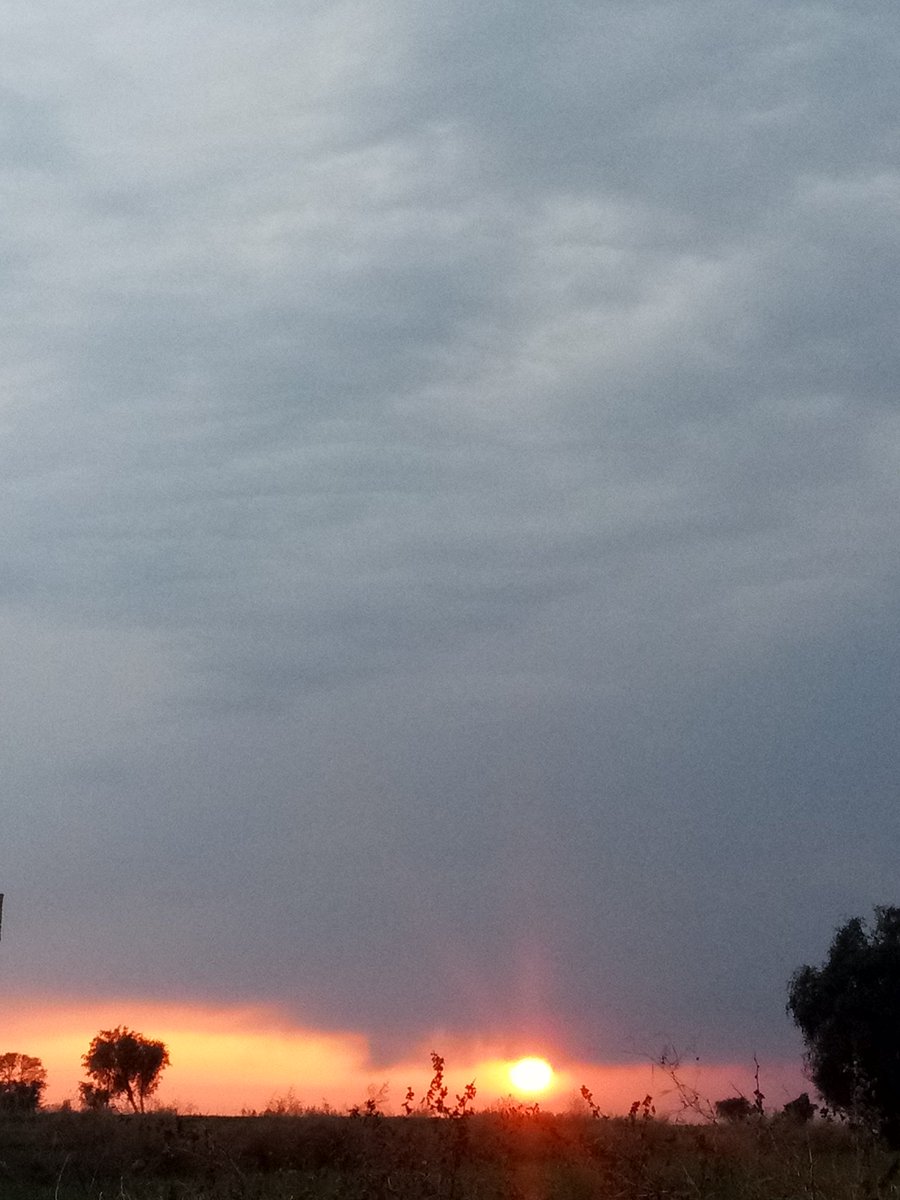 Haroon Al Rasheed tweet media