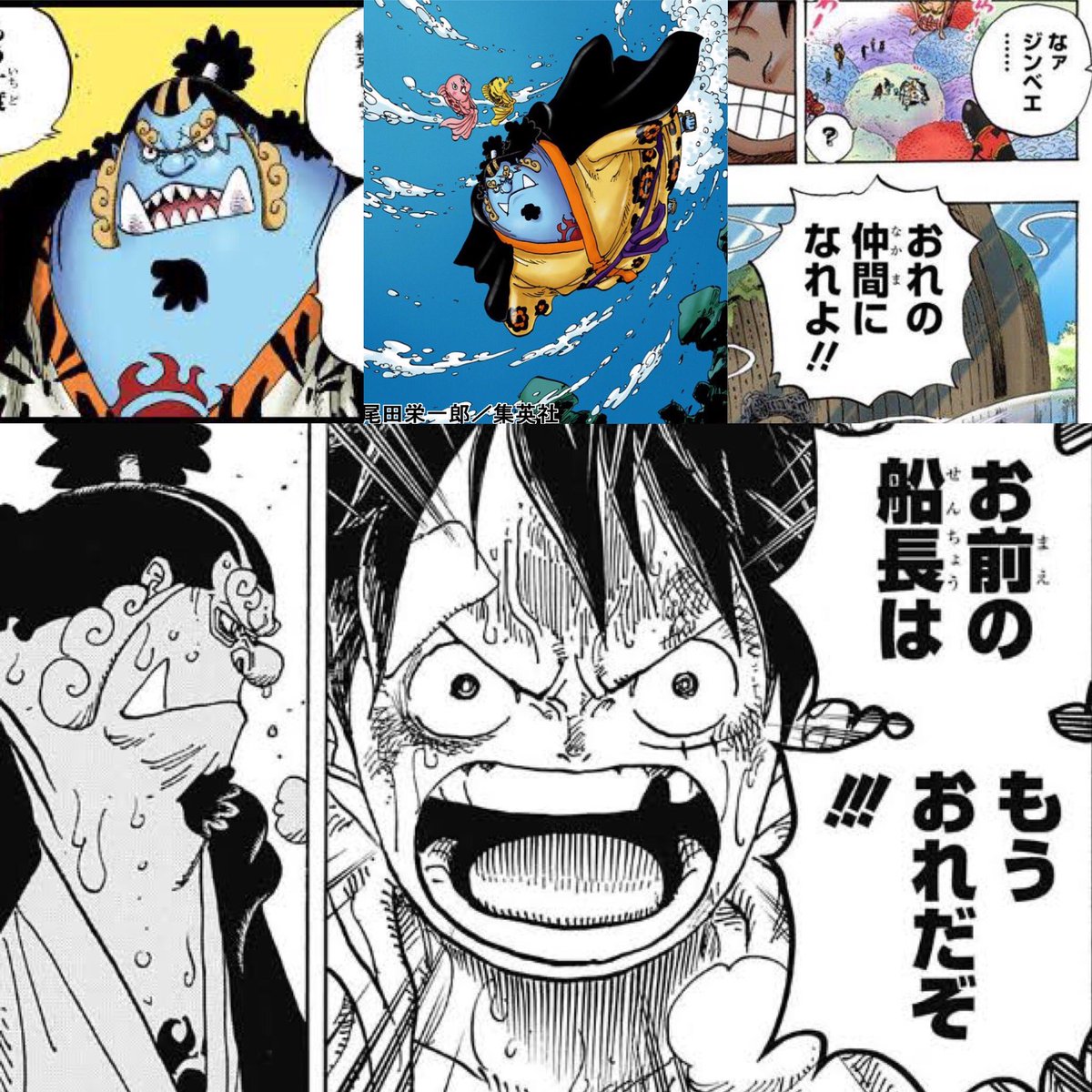 ジンベエ誕生祭