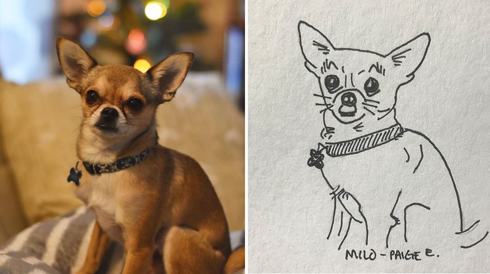 LollypopFarm's tweet photo. Fetch A Sketch! π¨ Help pets at the shelter by making a gift and submitting a photo of your pet! You'll get back an illustration by either a professional local artist or a #LollypopFarm employee! Learn more and submit your pet today: https://t.co/5ZMTtvWeL1. #FetchASketch #Roc https://t.co/z0KGxuJHeD