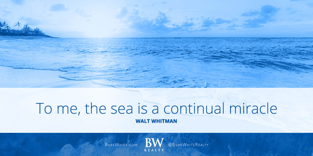 BurrWhiteRealty's tweet photo. “To me, the sea is a continual miracle; The fishes that swim–the rocks–the motion of the waves–the ships, with men in them. What stranger miracles are there?” –Walt Whitman

 #burrwhiterealty #beachrentals https://t.co/D8Je5drRAk