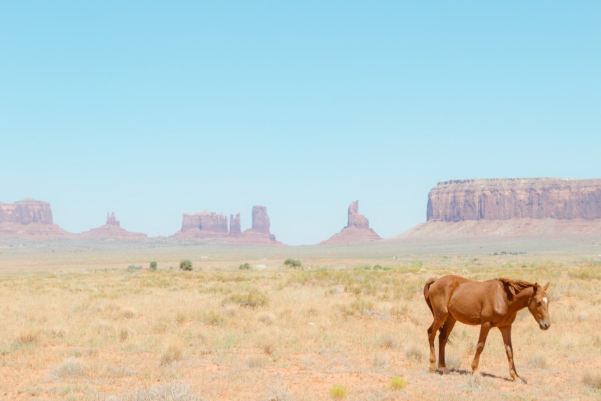 briscoepark's tweet photo. Summertime out west https://t.co/uzK1XkUN0h