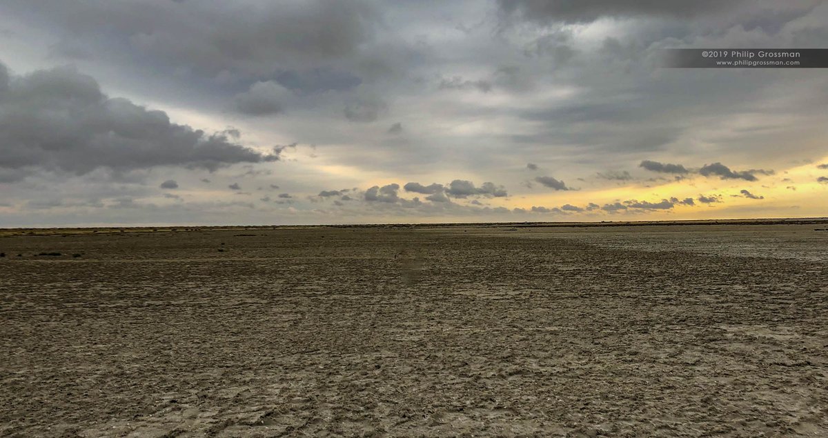 PGPImages's tweet photo. The empty desert of what was once the Aral Sea. This entire area use to be 50 to 60 feet below the surface of the sea. Early morning hike to return to our rendezvous point.
#uzbekistan #aralsea #adventure #photography #CaptureTheAdventure https://t.co/C9kLWTkRSD