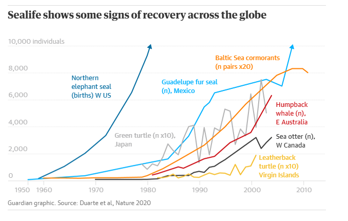 This looks suspiciously like the graphs we're all checking on a daily basis at the moment, but in fact is a rare moment for optimism (with the usual caveats). Go humpback whales / cormorants / sea otters / turtles / seals! bit.ly/3bLz40n