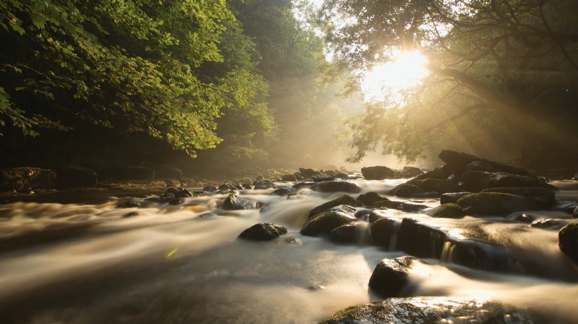 Channel 5, 7pm Wild Great Britain - Rivers. Grab a drink, settle down and watch something joyful. You're welcome! #COVIDー19 #COVID19 #covid19UK @channel5_tv #wildbritain #rivers @wwf_uk @DevonWildlife @FishtheNess @Natures_Voice @RSPBbirders #fishlove