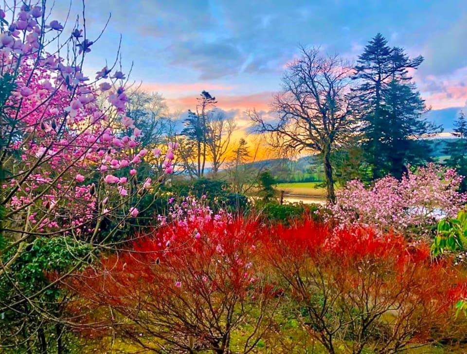 SE_Greenway's tweet photo. We could all be forgiven for not appreciating the #SpringTime #bloom this year, but pretty soon everyone will be enjoying the views of @mountcongreve as one of the stops on the Southeast Greenway and we can’t get enough of it 🌻🌱 https://t.co/1blBBcs84L