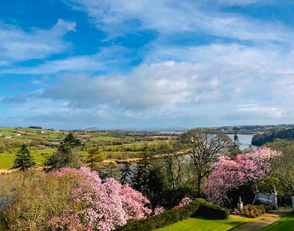 SE_Greenway's tweet photo. We could all be forgiven for not appreciating the #SpringTime #bloom this year, but pretty soon everyone will be enjoying the views of @mountcongreve as one of the stops on the Southeast Greenway and we can’t get enough of it 🌻🌱 https://t.co/1blBBcs84L