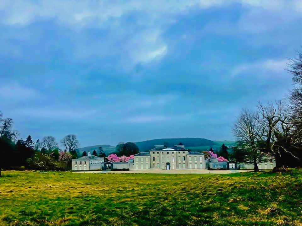 SE_Greenway's tweet photo. We could all be forgiven for not appreciating the #SpringTime #bloom this year, but pretty soon everyone will be enjoying the views of @mountcongreve as one of the stops on the Southeast Greenway and we can’t get enough of it 🌻🌱 https://t.co/1blBBcs84L
