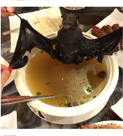 himhimlo's tweet photo. @globaltimesnews Bat soup https://t.co/cwjQMzVIKL