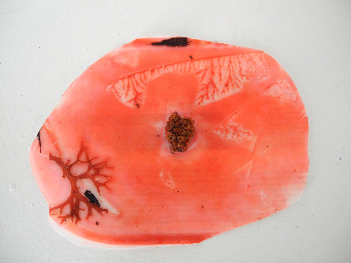 À (RE)LIRE !

Le portrait de l'artiste #CamilleJuthier écrit par 
<a href="/BARDINCamille/">Camille Bardin</a> sur le site de <a href="/__YACI/">YACI</a> : buff.ly/2WcHK9y

Visuels : Courtesy de l'artiste.