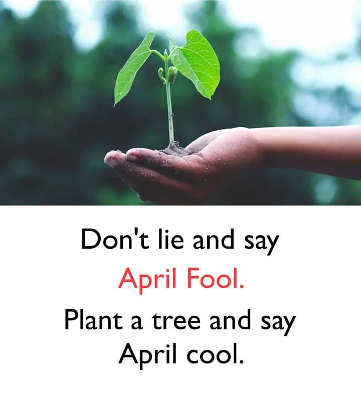 Today as we celebrate WANGARI MATHAAI'S Earth Strong 👇😊