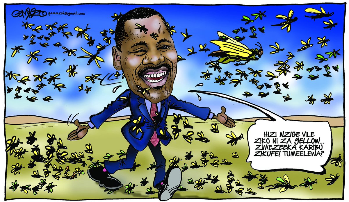 solo_ambuku's tweet photo. @djsugafree @ntvkenya The #LocustMan is a real comedian, we want to hear all the maize with our local farmers have bought first, else he braces himself for impeachment.  #ResistCorruptionKE in #AgricultureKE . #Covid19ImpactKe , #coronaviruskenya . 😷👊 https://t.co/9rY6b8nIgy