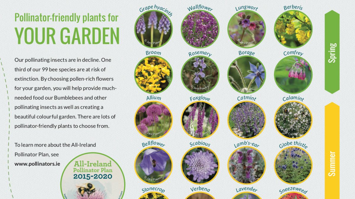 FeedTheBees's tweet photo. Day 90 ~ 8 ways to help #pollinators without leaving your garden
"For those who are fortunate enough to have a garden, you may be interested in these eight simple and free things that you can do."
View the 8 ways here: https://t.co/WuAWjDE0TM
#feedthebees #feedthebees365 https://t.co/fWRRrAaxpr