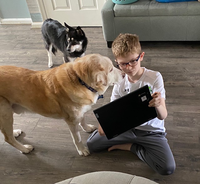 McDonoghSchool's tweet photo. One of the best parts of virtual school is that we get to share it with our four-legged friends. Tweet us your new classmate photo 📸using #mynewclassmate #virtualschool #joyinlearning #mcdonoghtogether https://t.co/E2amLPlNK3