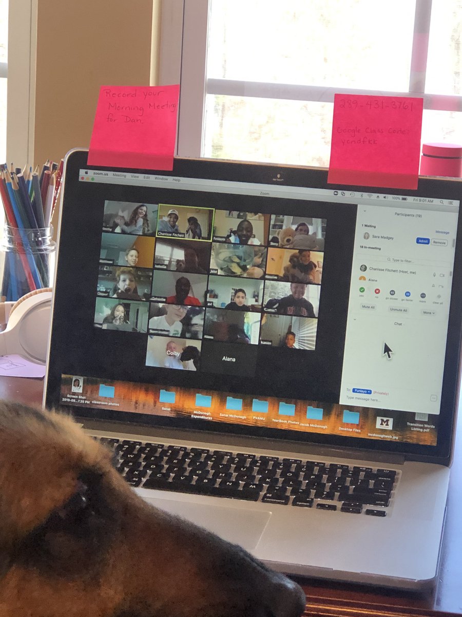 McDonoghSchool's tweet photo. One of the best parts of virtual school is that we get to share it with our four-legged friends. Tweet us your new classmate photo 📸using #mynewclassmate #virtualschool #joyinlearning #mcdonoghtogether https://t.co/E2amLPlNK3