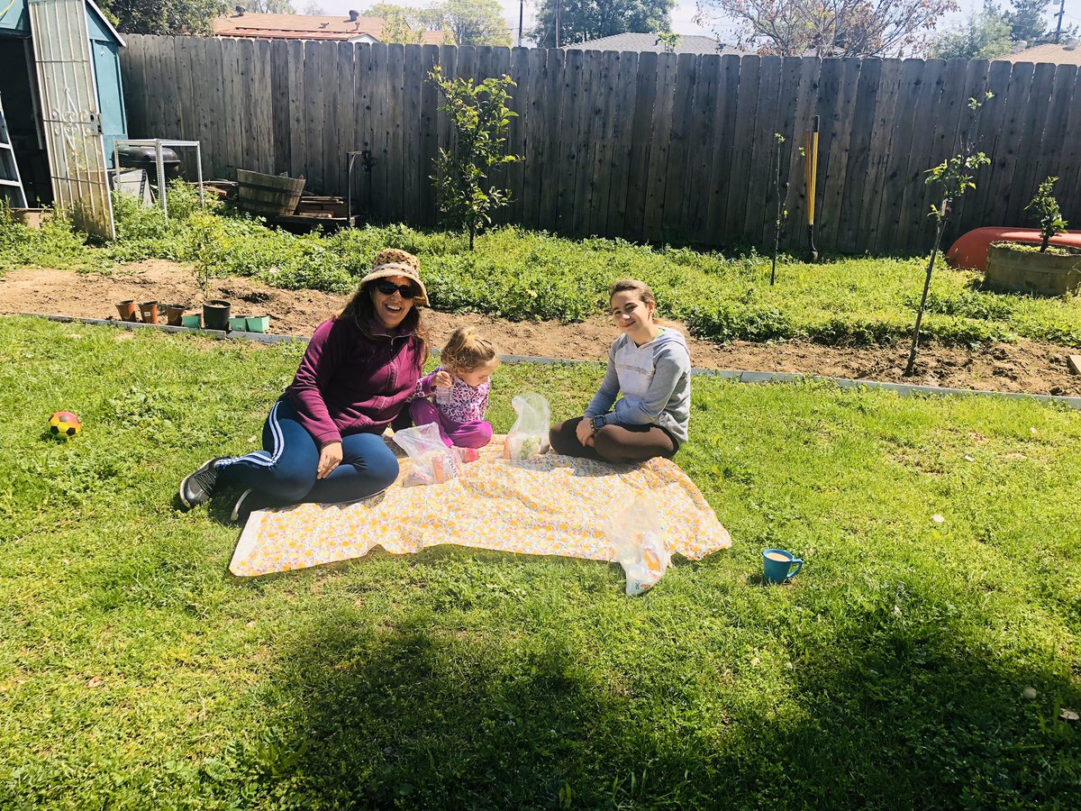 SamarAlyas tweet media