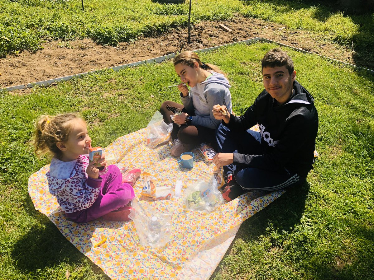 SamarAlyas tweet media