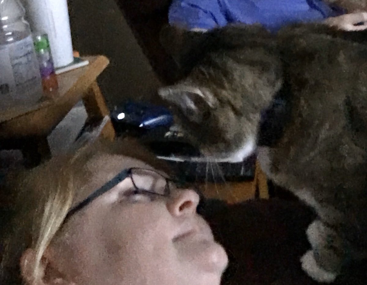 CrittersofH's tweet photo. Iβm trying to nap on the couch! Youβre in my way human! #CatsOfTwitter #fatcat #mynaptime #nappingspot #rubnoses #tabbycat @DinahLewisTayl1 #kittykisses https://t.co/7Wkv4Mqjuh