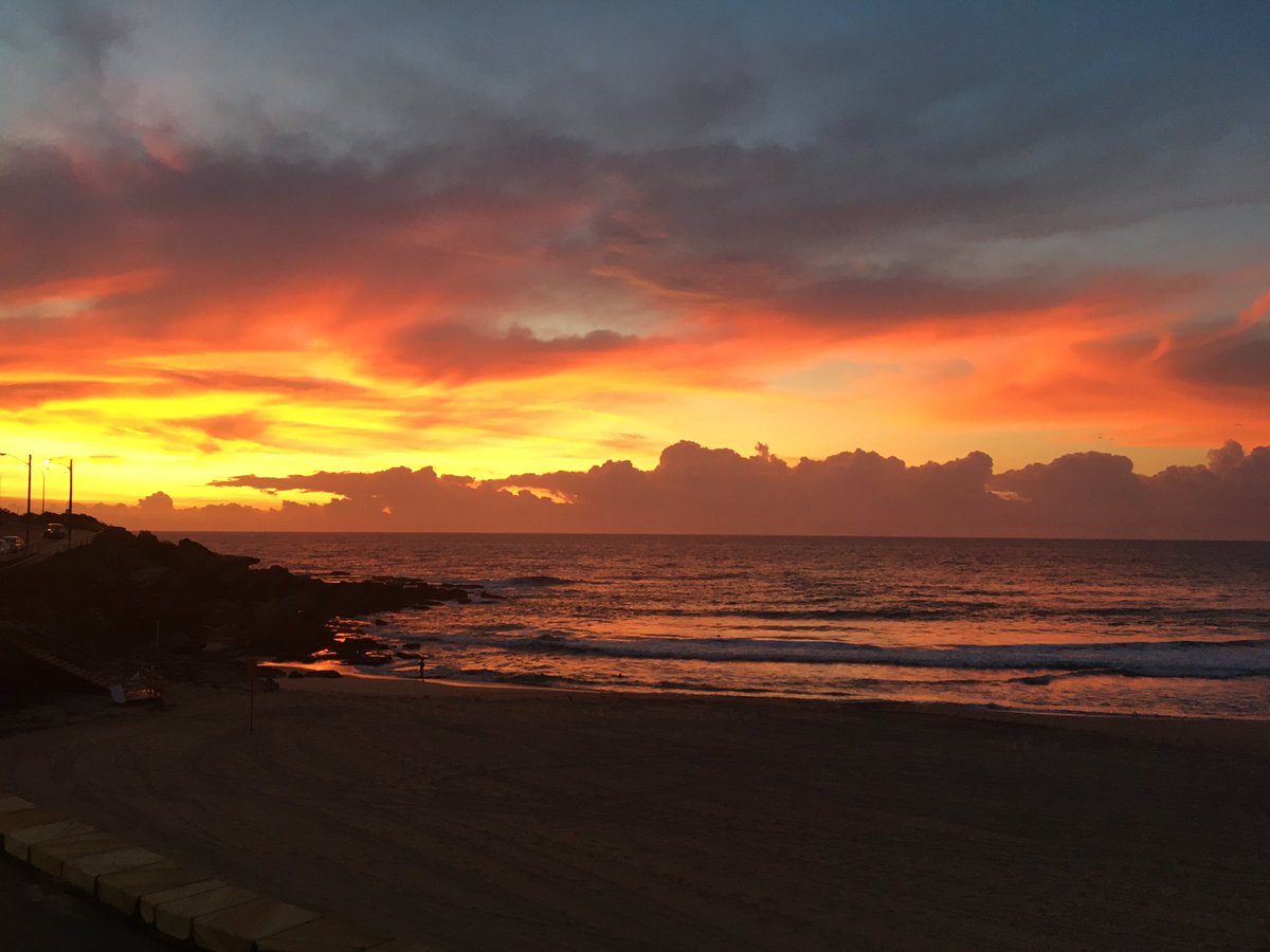 Laura Doig tweet media