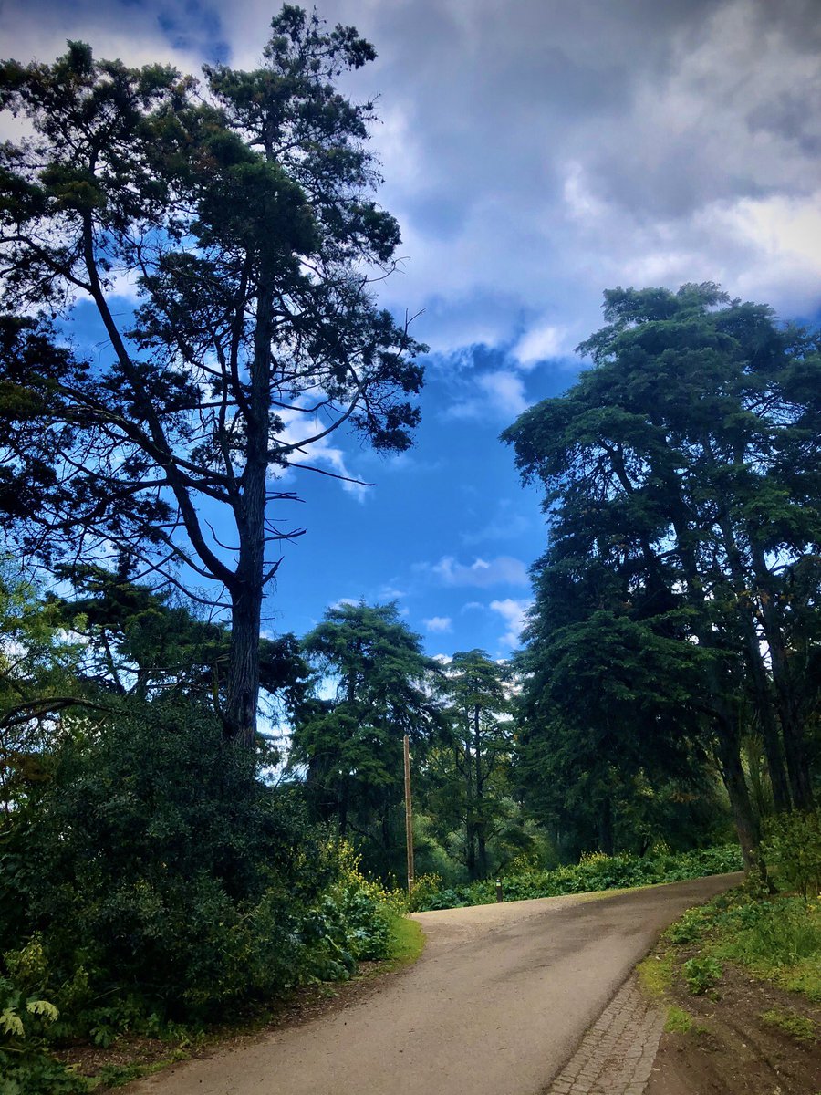 BarefootDom's tweet photo. My best month so far! Thanks portugal! #Run #running #runchat #barefootrunning #fitness #runner #fitnessmotivation #halfmarathon #marathon #training #health #fit #borntorun #motivation #runhappy #marathontraining #inspiration https://t.co/95coM0qGqT