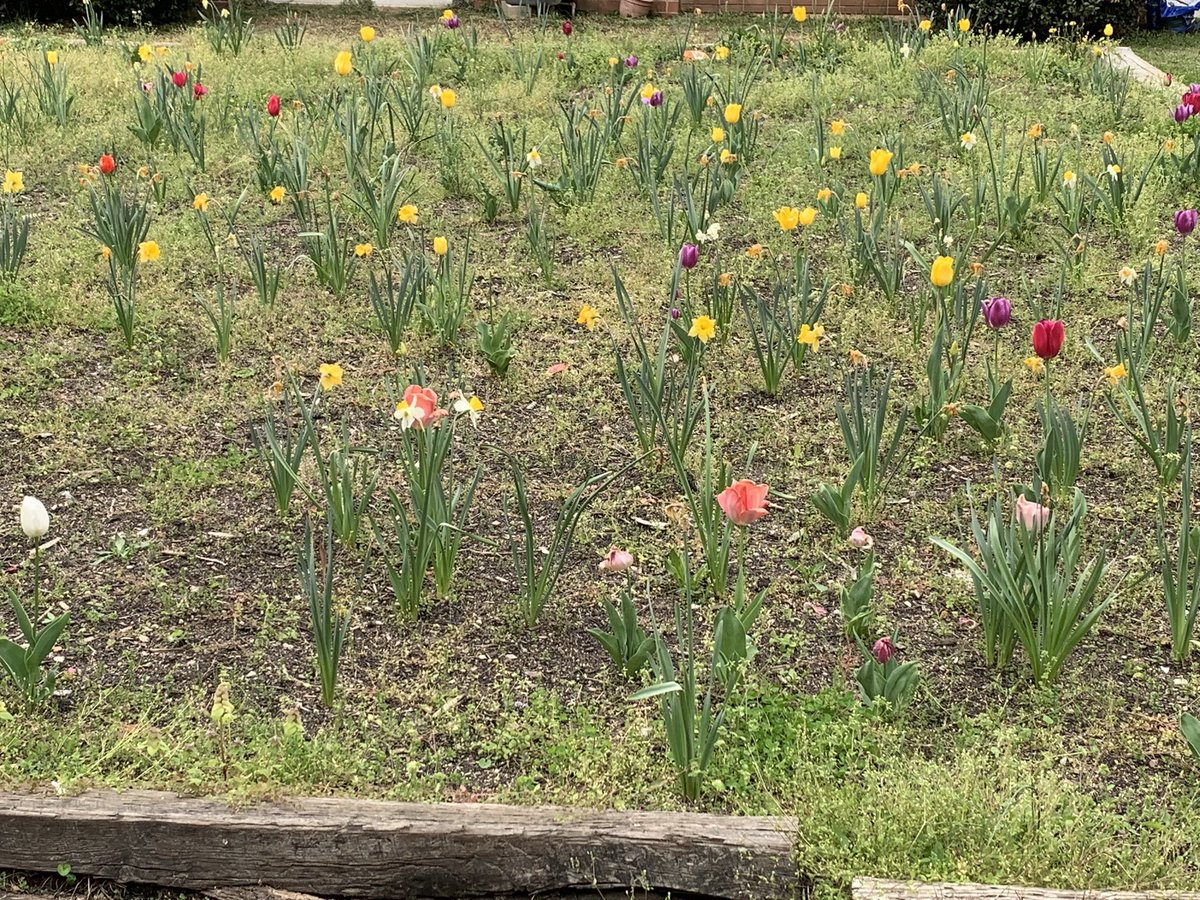 Mike Hall tweet media