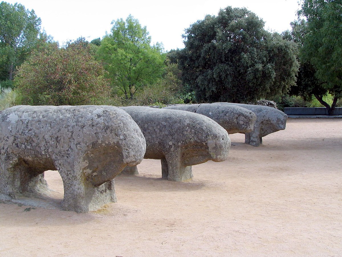4/ Another interesting feature of the Western Iberian funerary world are the berrões (Latin verres, "boar"), granite sculptures built from 5th century BCE to 2nd century CE by the Gallaecians, Lusitanians and Vettonians. They represent pigs/boars, wolves, bears, bulls and goats.