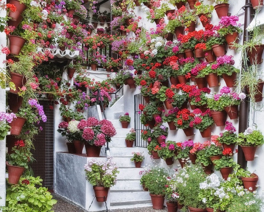 살아가면서
날 필요로 하는 사람이 있다면 주저하지 말고 
내 사랑을 담아 건네 주세요.

행복은
받으려고 만 하는 사람을 좋아하지 않아요.
 
행복은
나의 소중한 것을 
남을 위해 쓸 줄 아는 사람을 좋아하며
더 큰 행복을 선물 한답니다.