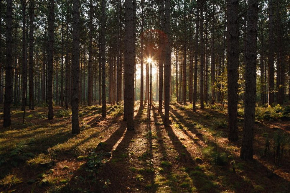 mydoorcounty's tweet photo. Take a deep breath and imagine the light shining in.
We wish you were here but for now enjoy Door County virtually.
#VirtualDoCo https://t.co/Td4L1WMoRr