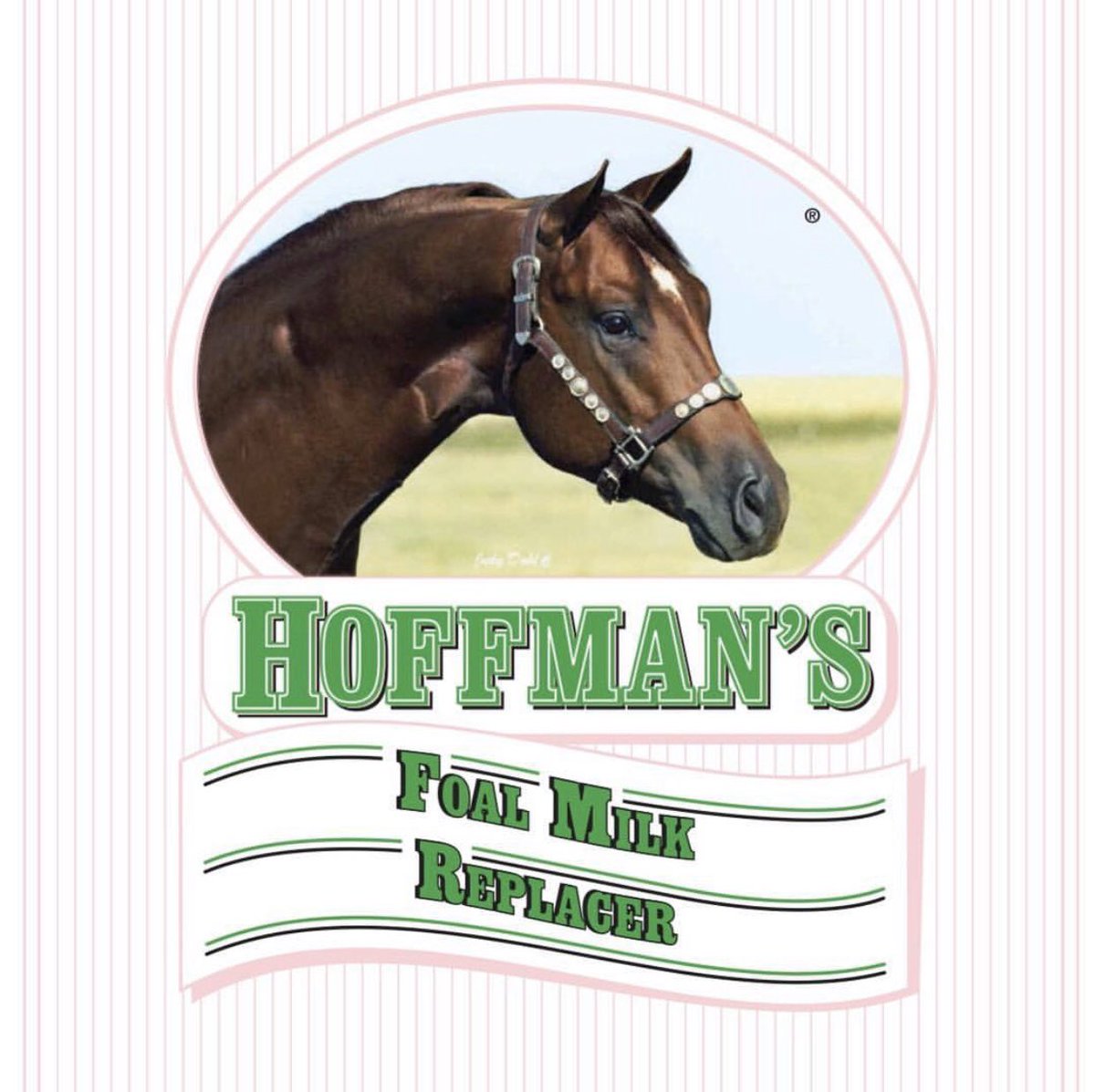 Are you going to have a foal this year? Have you tried any of the HOFFMAN’S FOAL PRODUCTS?
#equinenutrition #foalhealth #foalnutrition #broodmares #hoffmanshorses