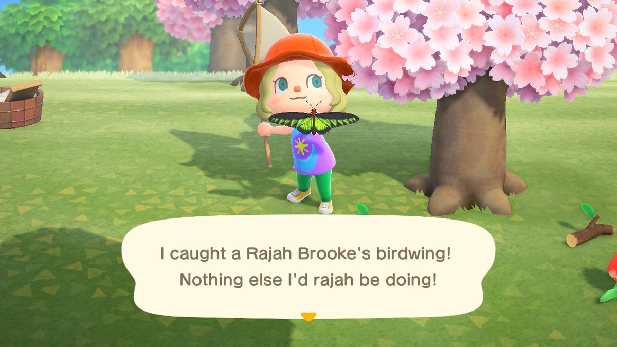 margauxcrossing's tweet photo. #catchingbugs with my #flimsynet #margauxcrossing#wildisle#socialdistancing #AnimalCrossing #ACNH #NintendoSwitch https://t.co/obkKapYpES