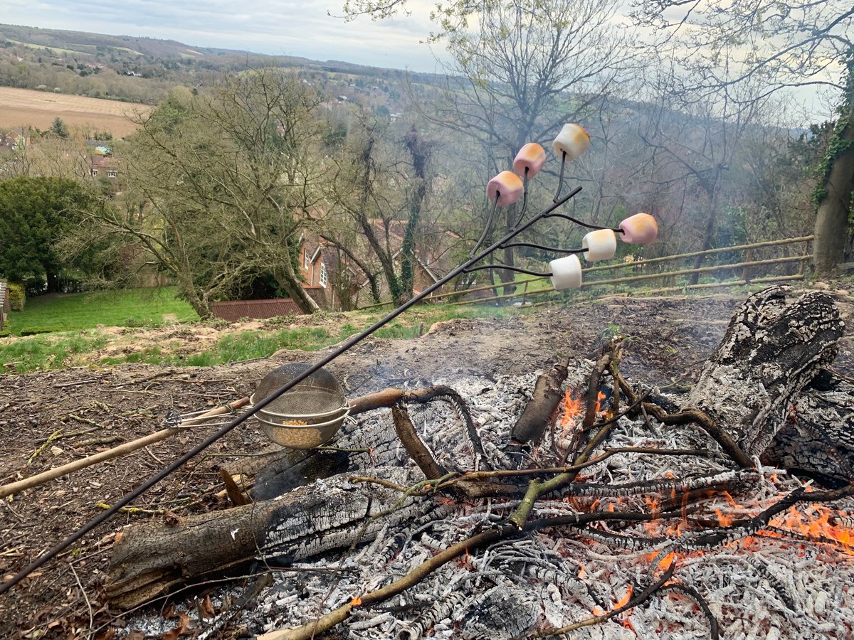 Shellerbell's tweet image. 