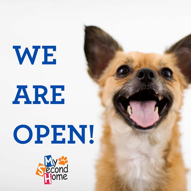 MySecondHomePet's tweet photo. We are open for boarding, daycare and grooming!  Pickup and drop-off is being done by curbside service. Upon arrival, please text us or give us a call at 615-771-7794 and someone will come outside to meet you and your pet! https://t.co/7ZcFsuzVUN