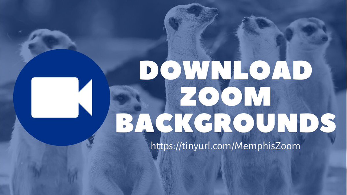 Looking to add some fun to your next zoom meeting? Download a virtual background! tinyurl.com/MemphisZoom